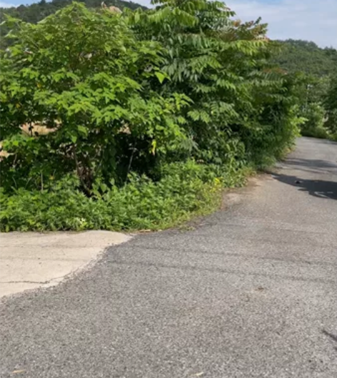 大蟒蛇鹏城N19，国产川崎Z1000，21...