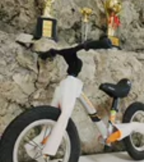 #儿童平衡车 全新12寸滑步车，带后避震 ...