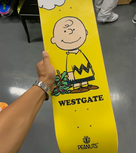 进口 ELEMENT 专业滑板双翘板8.0...