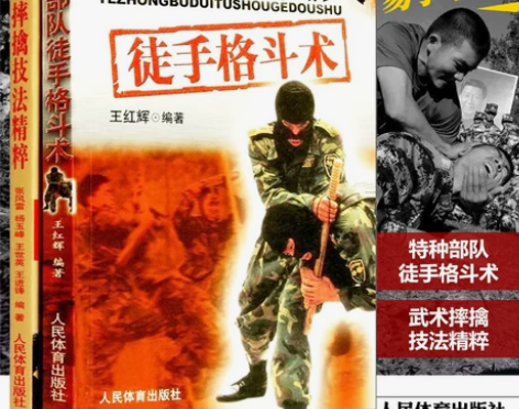 格斗术武术书籍防身自卫术入门搏击健身