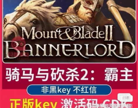 骑马与砍杀2 正版游戏激活码 直接激活入库...