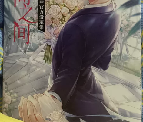 李泽言官方设定集已拆包邮50元 感兴趣的话...