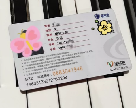 接声乐线上1对1小课 艺考中考 声乐考级 ...