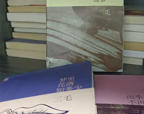 三毛 《撒哈拉的故事》 《梦里花落知多少》...