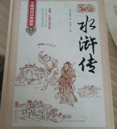 初中必读书目水浒传  全新未拆封  不包邮...