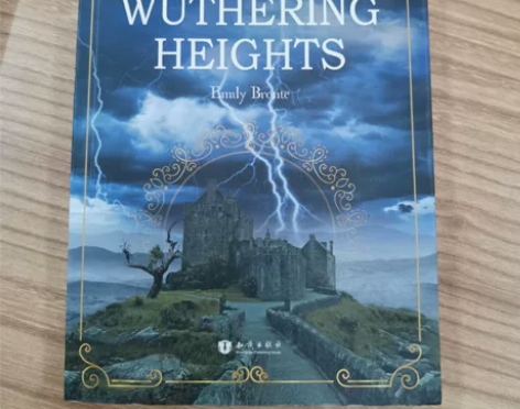 呼啸山庄英文版，几乎全新   可自提 感兴...