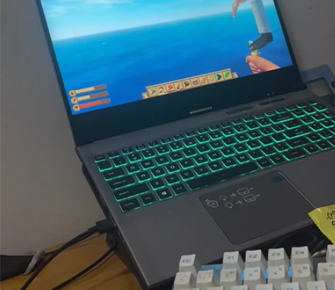 出笔记本 GTX1650 机械革命 详情私...