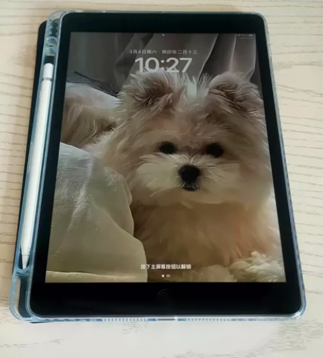 带笔了ipad2019wifi128g 9...