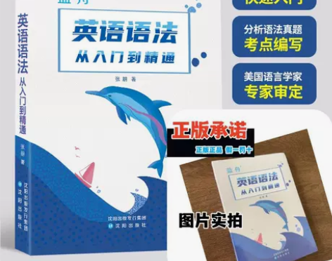 蓝舟英语语法从入门到精通适合小学初中高中全...