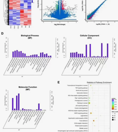 留学生R语言时间序列、Python编程、运...