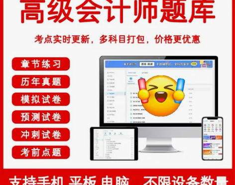 高级会计师会计实务经济法职称考试题库非金考...