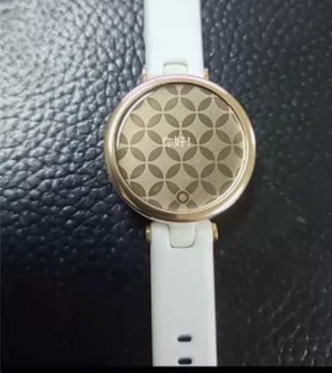 佳明（GARMIN）Lil活力版纯白流光金...