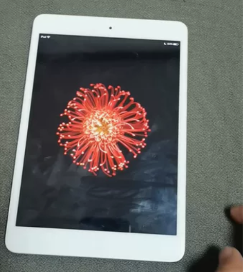 iPad mini1 16G全原裸机，下载...