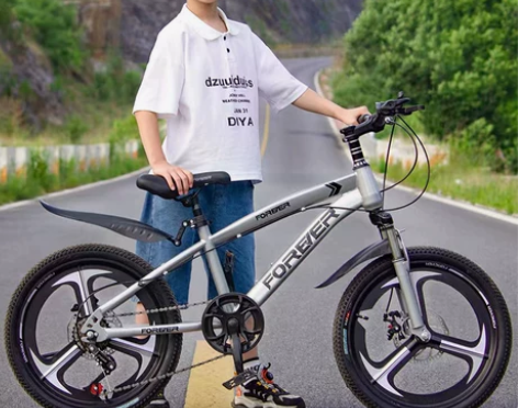 永久自行车儿童中大童6-8-10岁以上女孩...