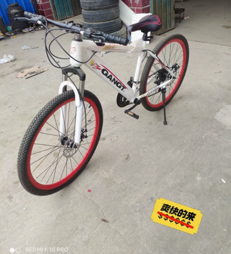 20寸捷安特ATX20D山地自行车。原装正...