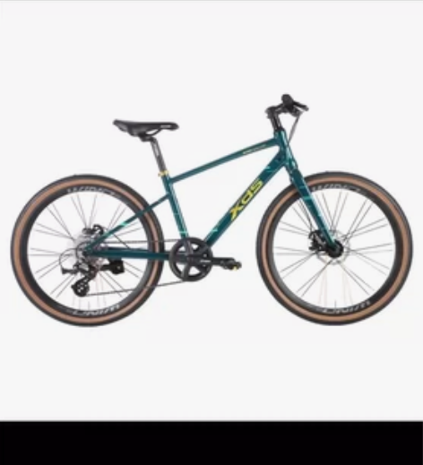 全新喜德盛风驰平把公路车24.26寸 感兴...