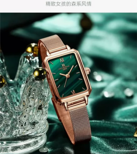 【全新】瑞士女表时尚防水高档女士机械手表气...