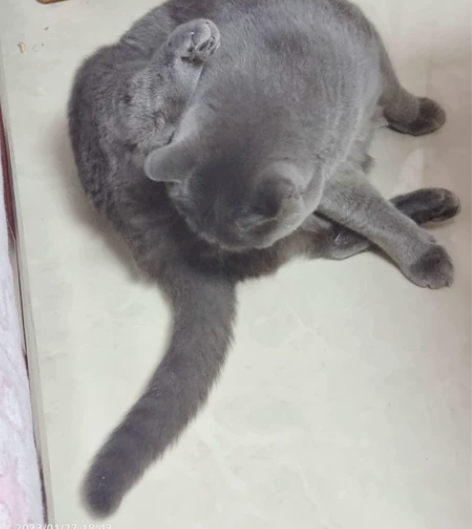 银色钻石台版正版全套外传,部分有钉章,因年...