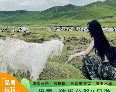 新疆旅游伊犁独库那拉提唐布拉草原巴音布鲁