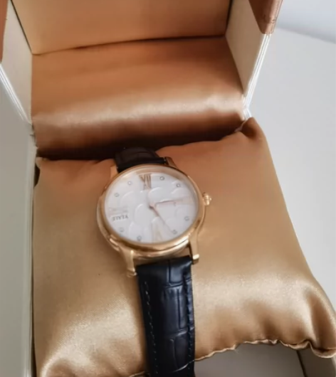 飞亚达手表 飞亚达手表 线下专柜购买包头百...