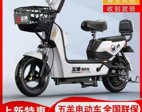 五羊新国标电动车48V伏电瓶车成人电动自行...