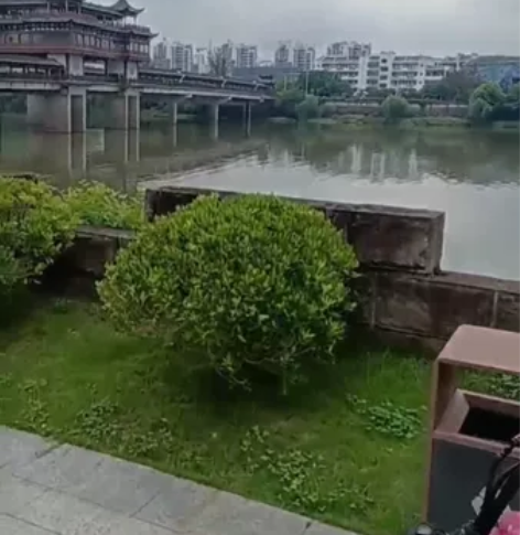 本田 Daxe 腊肠狗出售 配件齐全，可小...