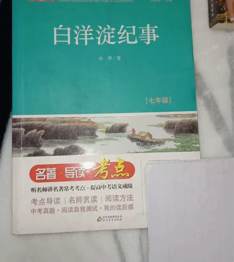 白洋淀纪事 感兴趣的话点“我想要”和我私聊...