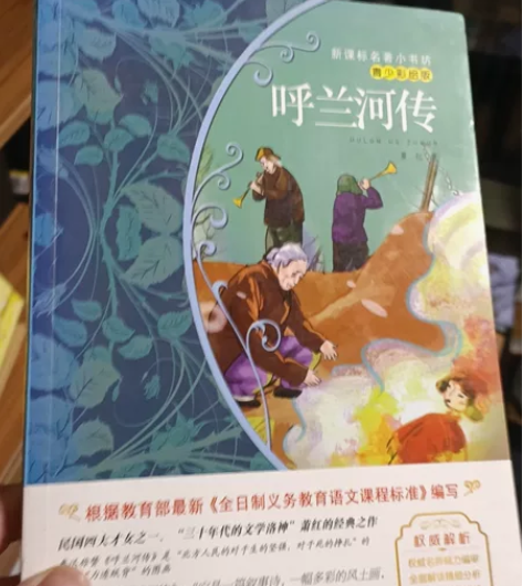 呼兰河传 感兴趣的话点“我想要”和我私聊吧～