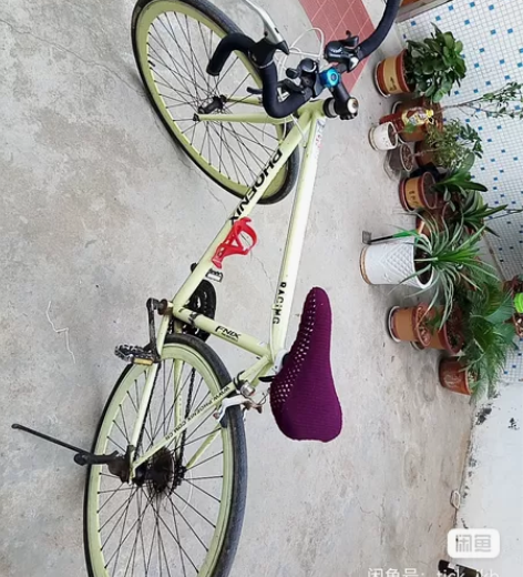 凤凰公路自行车 凤凰公路自行车，时间较久的...