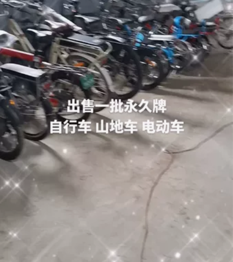 低价出售一批永久牌童车  自行车  山地车...