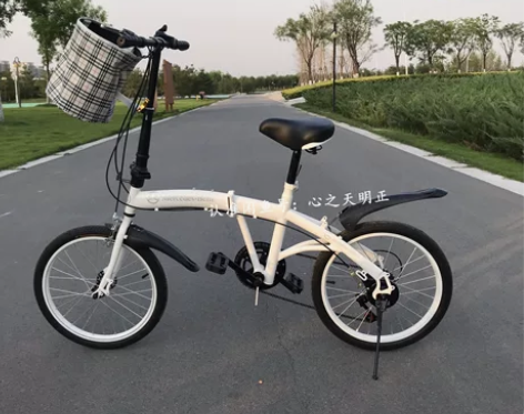 【仓库清仓,亏本出】全新折叠自行车20寸单...