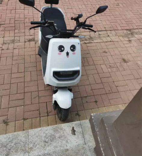 雅迪莱昂 72-35石墨烯电池  3000...