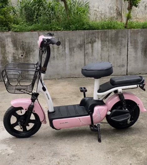 闲置正品爱玛电动车48V20安充满电可以跑...