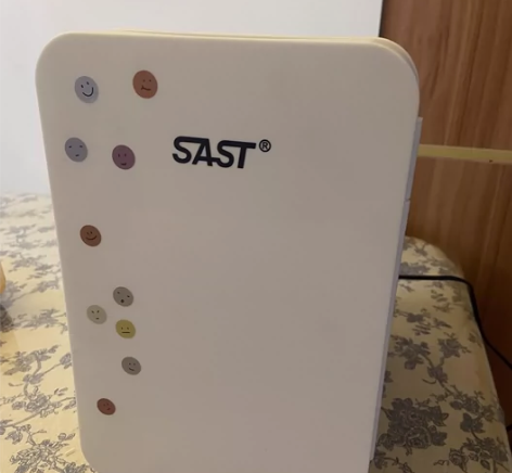 SAST车载迷你小冰箱mini宿舍出租房小...